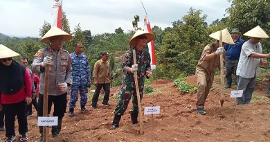 Kejari Ciamis Hadiri Launching Penanaman Jagung Serentak di Langkaplancar