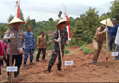 Kejari Ciamis Hadiri Launching Penanaman Jagung Serentak di Langkaplancar