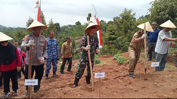 Kejari Ciamis Hadiri Launching Penanaman Jagung Serentak di Langkaplancar